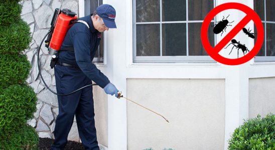 Aslanapa Akrep İlaçlama böcek ilaçlama ve haşere kontrolü — ilaclama-tr.com